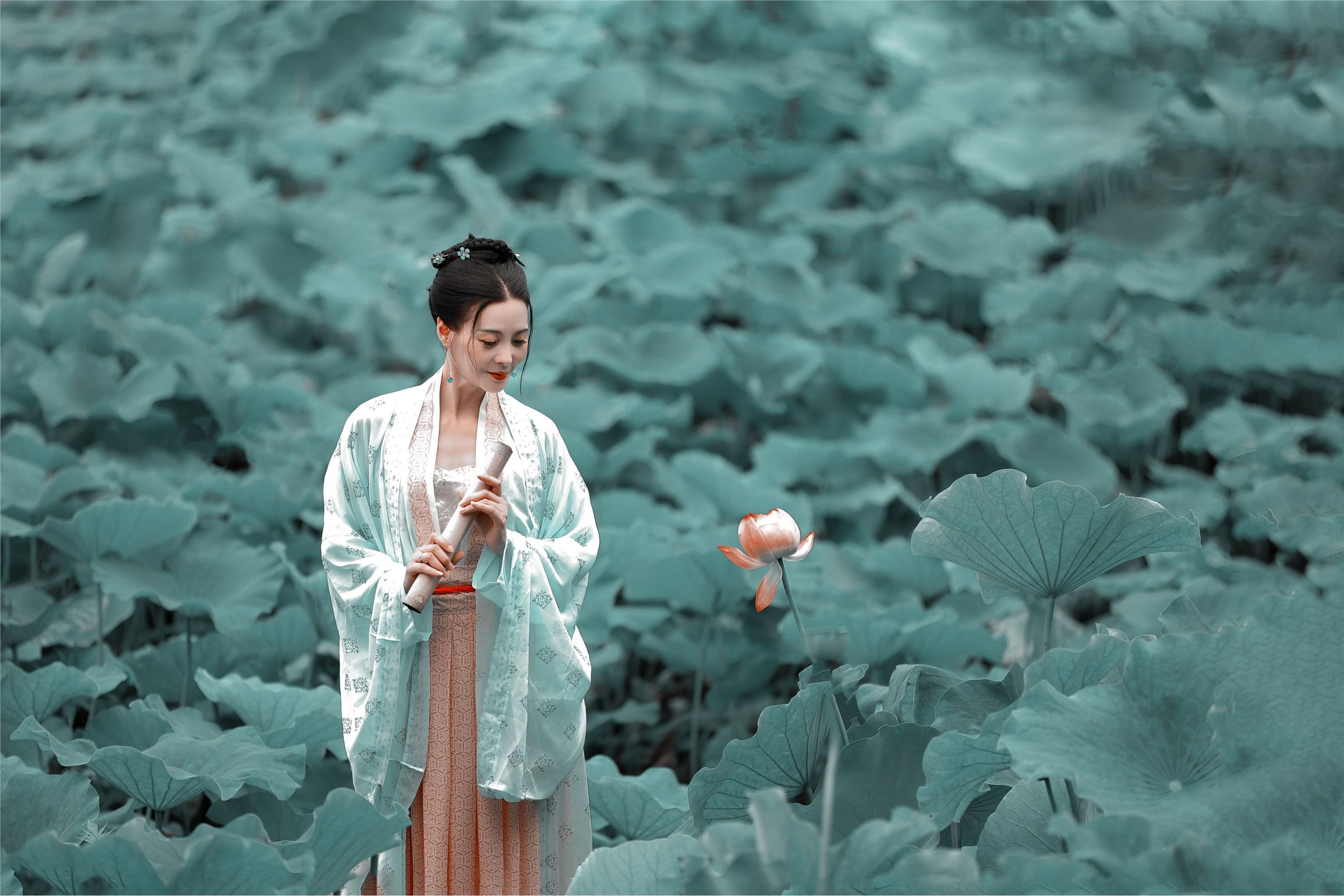 YITUYU艺图语 2021.08.16 采莲曲 莲